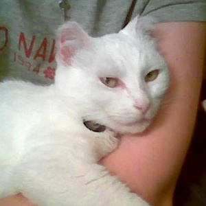 Fundraising Page: Melly Rosehaven